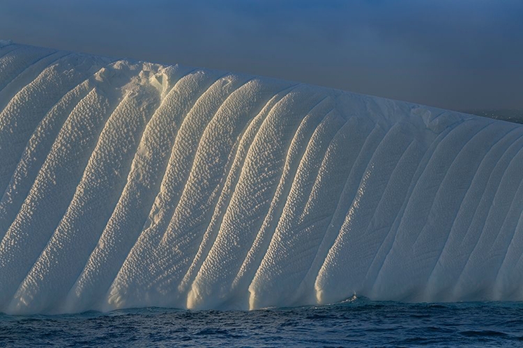 Picture of ANTARCTICA-SOUTH GEORGIA ISLAND-COOPERS BAY ICEBERG AT SUNRISE 