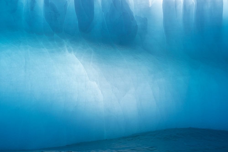 Picture of ANTARCTICA-SOUTH GEORGIA ISLAND-GOLD HARBOR BLUE ICEBERG CLOSE-UP 