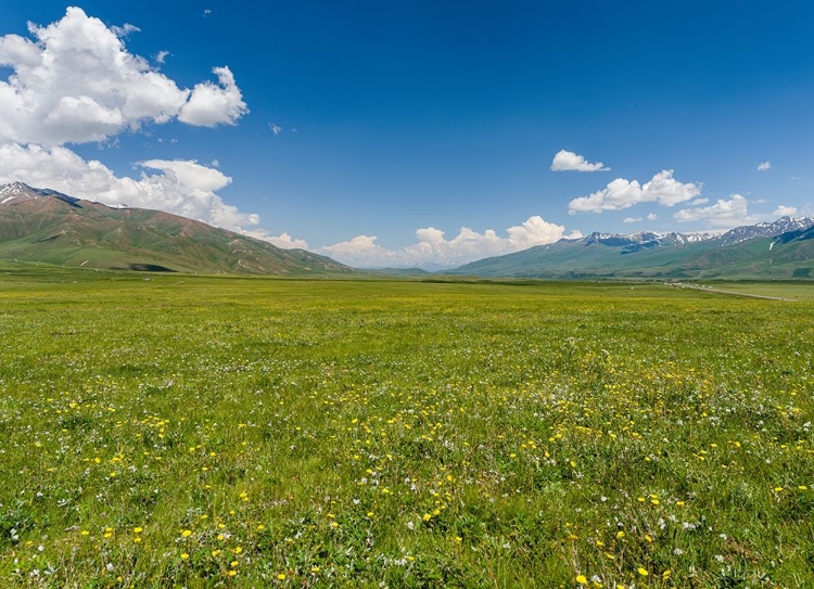 Picture of THE SUUSAMYR PLAIN-A HIGH VALLEY IN TIEN SHAN MOUNTAINS-KYRGYZSTAN