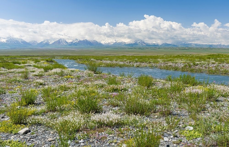 Picture of PEAK PIK LENIN OR KULLAI ABU-ALI IBN SINO AND PIK DSERSCHINSKI ALAY VALLEY 