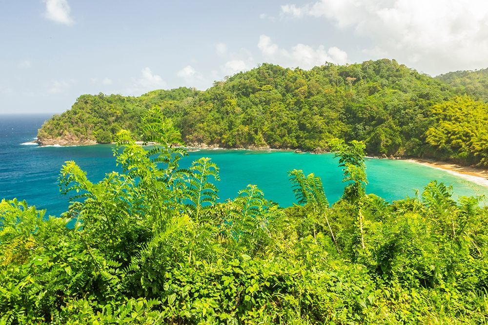 Somerset House - Images. CARIBBEAN-TOBAGO OCEAN COVE AND JUNGLE LANDSCAPE