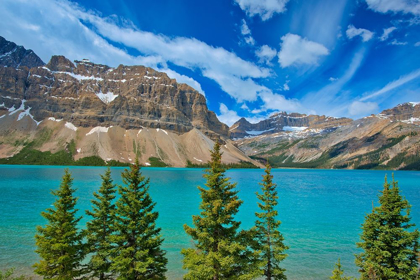 Picture of CANADA-ALBERTA-BANFF NATIONAL PARK BOW LAKE AND CROWFOOT MOUNTAIN LANDSCAPE