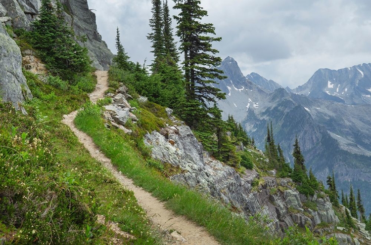 Picture of ABBOTT RIDGE TRAIL ALONG CLIFFS BELOW MOUNT ABBOTT SELKIRK MOUNTAINS GLACIER NATIONAL PARK