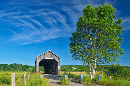 Picture of CANADA-NEW BRUNSWICK-RIVERSIDE-ALBERT SAWMILL CREEK COVERED BRIDGE