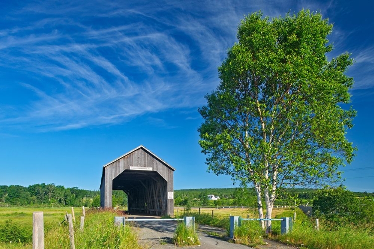 Picture of CANADA-NEW BRUNSWICK-RIVERSIDE-ALBERT SAWMILL CREEK COVERED BRIDGE