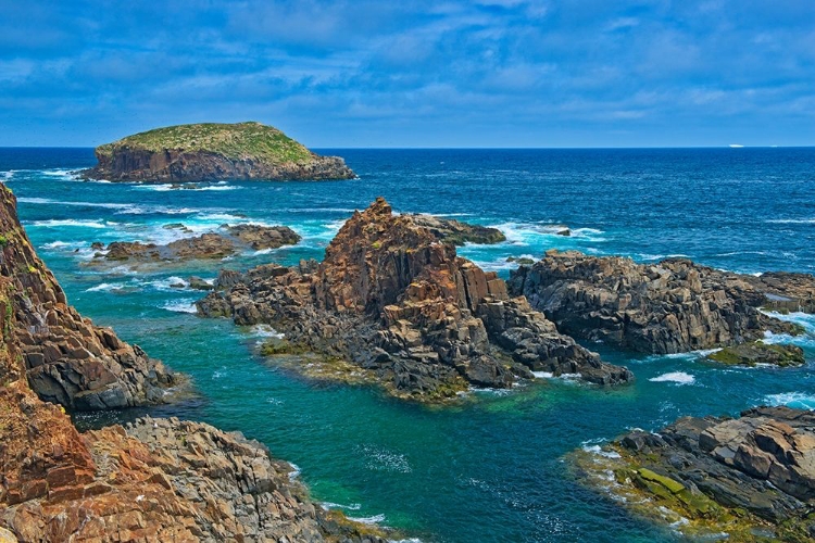 Picture of CANADA-NEWFOUNDLAND-ELLISTON ROCKY SHORELINE ON ATLANTIC OCEAN