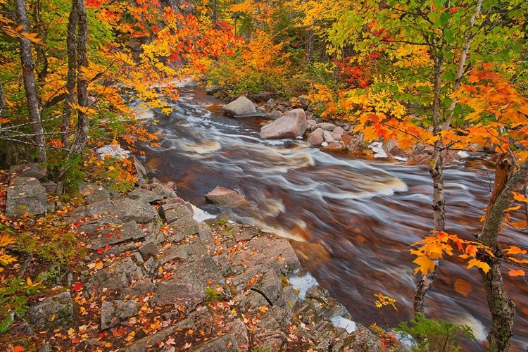 Picture of CANADA-NOVA SCOTIA MARY-ANNE FALLS AND FOREST IN AUTUMN FOLIAGE