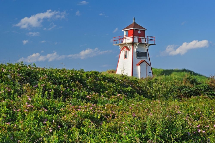 Picture of CANADA-PRINCE EDWARD ISLAND-COVEHEAD HARBOUR LIGHTHOUSE AND FLOWERS