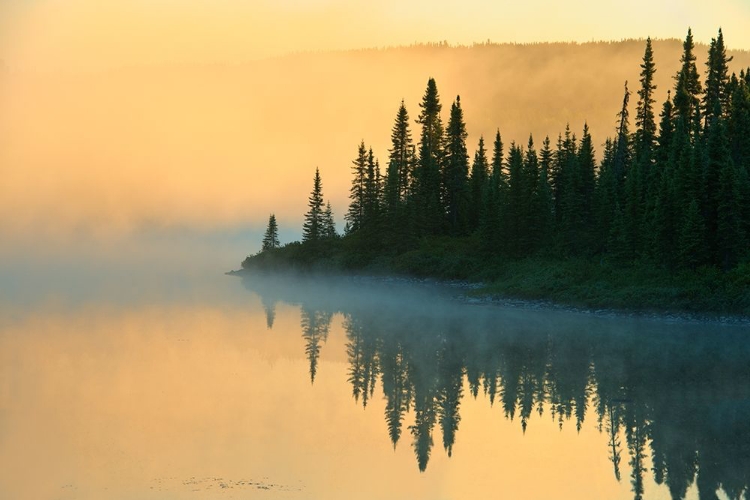 Picture of CANADA-QUEBEC-CHIBOUGAMAU LAKE IN FOG AT SUNRISE