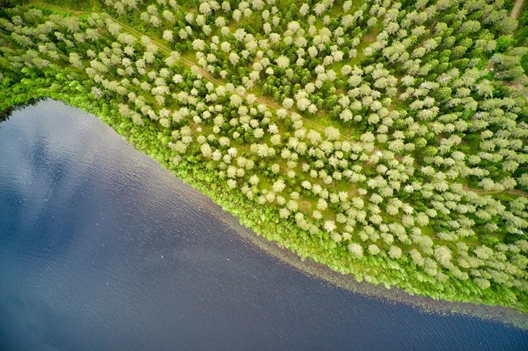 Picture of FINLANDIA-SAVONLINNA-AERIAL VIEW-FOREST AND LAKE