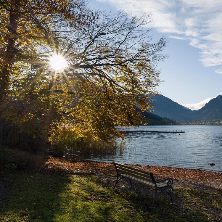 Picture of SUNRISE AT LAKE AND VILLAGE SCHLIERSEE IN THE BAVARIAN ALPS DURING AUTUMN-BAVARIA-GERMANY