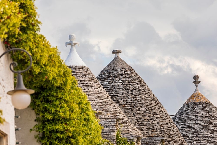 Picture of ITALY-APULIA-METROPOLITAN CITY OF BARI-ALBEROBELLO TRULLI HOUSES