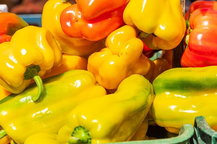 Picture of ITALY-APULIA-METROPOLITAN CITY OF BARI-LOCOROTONDO PEPPERS FOR SALE IN AN OUTDOOR MARKET