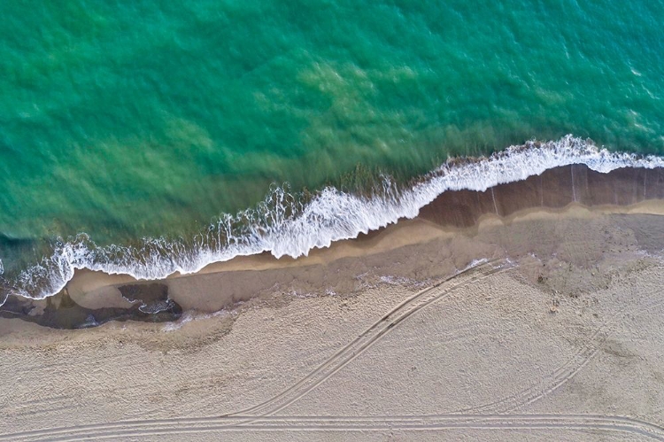 Picture of ITALY-TUSCANY-TORRE DEL LAGO PUCCINI-DUNES AND FREE BEACH