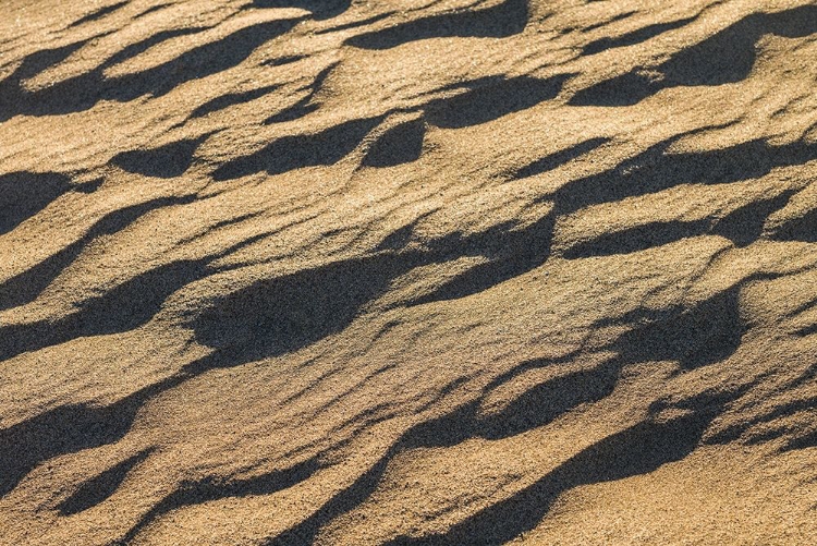 Picture of SPAIN-CANARY ISLANDS-GRAN CANARIA ISLAND-MASPALOMAS-MASPALOMAS DUNES NATIONAL PARK