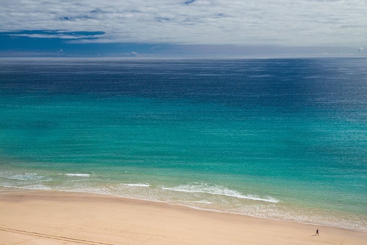 Picture of CANARY ISLANDS-FUERTEVENTURA ISLAND-COSTA CALMA-HIGH ANGLE VIEW OF PLAYA DE SOTAVENTO BEACH