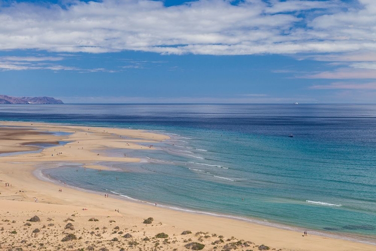 Picture of CANARY ISLANDS-FUERTEVENTURA ISLAND-COSTA CALMA-HIGH ANGLE VIEW OF PLAYA DE SOTAVENTO BEACH