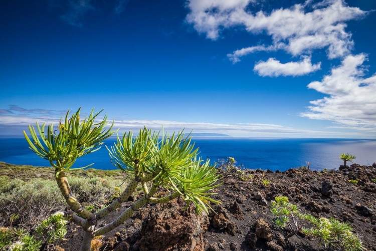 Picture of CANARY ISLANDS-LA PALMA ISLAND-FUENCALIENTE DE LA PALMA-PUNTA DE FUENCALIENTE-VOLCANIC LANDSCAPE