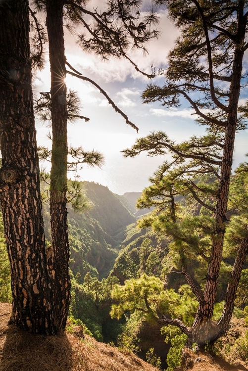 Picture of CANARY ISLANDS-LA PALMA ISLAND-MIRADOR DE GAROME-ELEVATED COASTAL VIEW