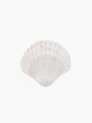 Picture of SWEET SEASHELL