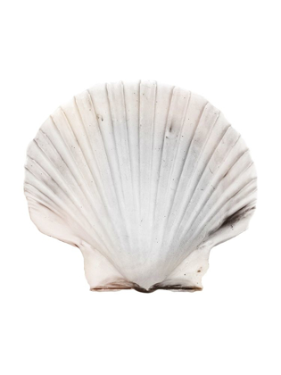 Picture of CALMING SHELL