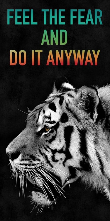 Picture of DO IT ANYWAY