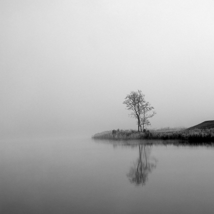 Picture of WINTER MIST SQUARE