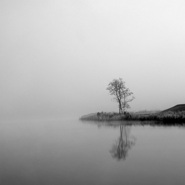 Picture of WINTER MIST SQUARE