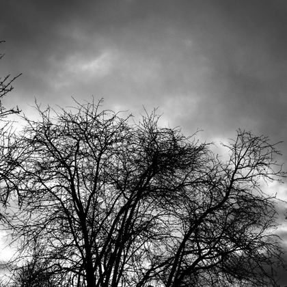 Picture of WINTER SKY SQUARE