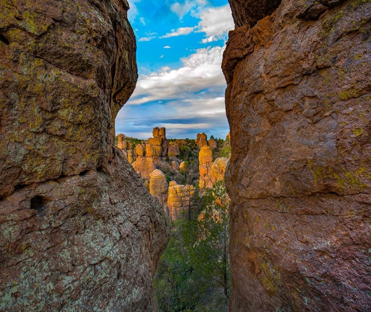 Picture of GROTTO AT ECHO CANYON TRAIL-CHIRICAHUA NATIONAL MONUMENT-ARIZONA