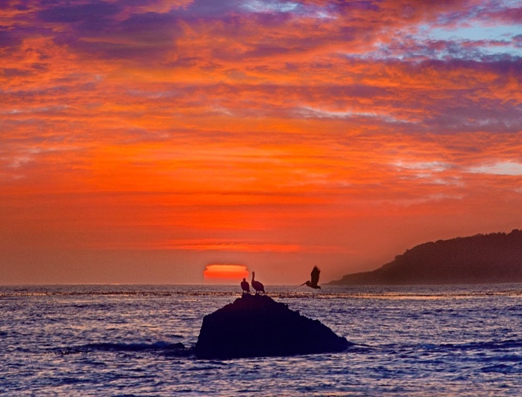 Picture of BIG SUR COAST-CALIFORNIA-USA