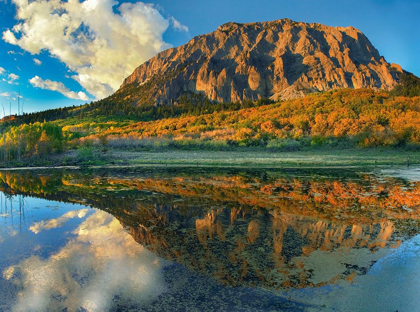 Picture of MARCELLINA MOUNTAIN-COLORADO