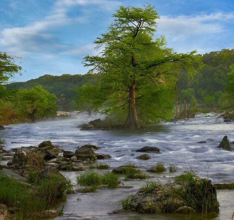 Picture of PEDERNALES RIVER-PEDERNALES FALLS STATE PARK-TEXAS