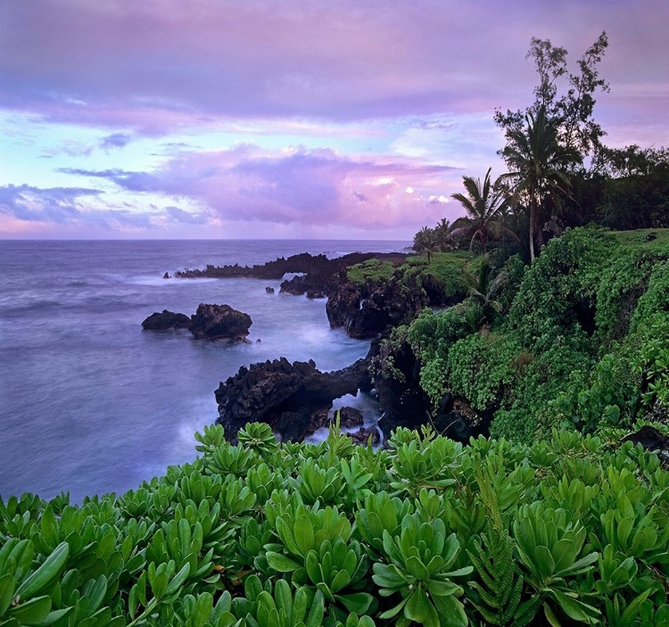 Picture of HANA COAST MAUI