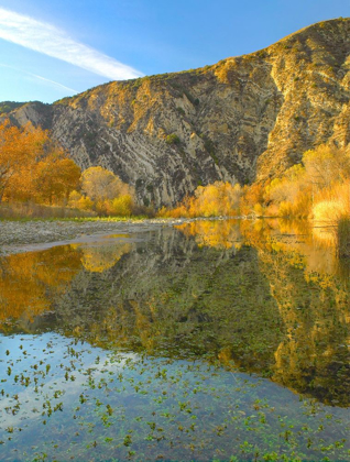 Picture of MOUNTAINS REFLECTED IN SANTA YNEZ RIVER-CALIFORNIA