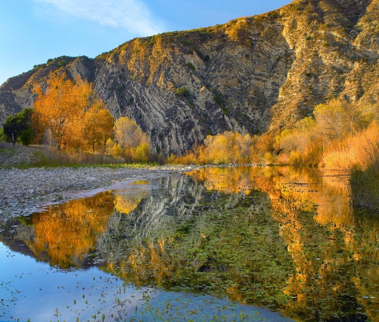 Picture of SANTA YNEZ MOUNTAINS REFLECTED IN SANTA YNEZ RIVER-CALIFORNIA