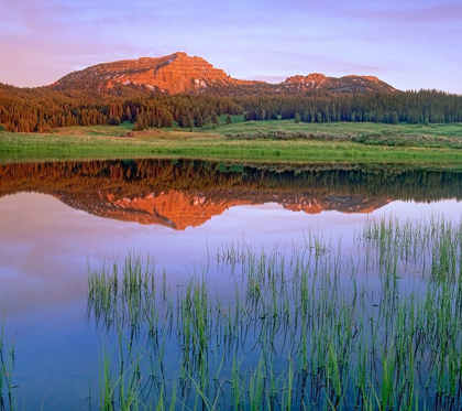 Picture of TRIPOD PEAK AT TOGWOTEE PASS-WYOMING