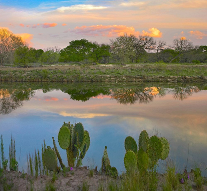 Picture of SOUTH LLANO RIVER STATE PARK-TEXAS.