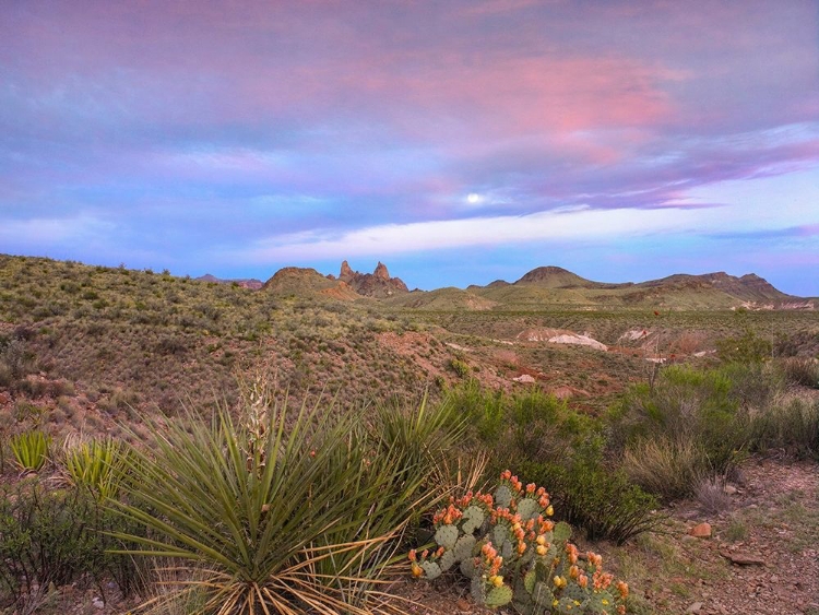 Picture of MULE EARS PEAKS-BIG BEND NATIONAL PARK-TEXAS