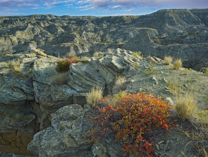 Picture of MAKOSHIKA STATE PARK-MONTANA