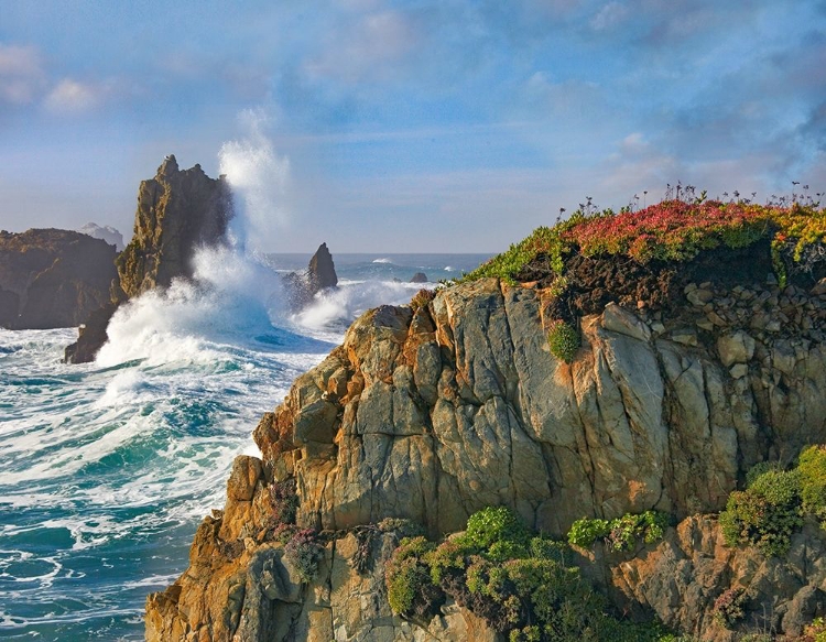 Picture of POUNDING WAVES AT PIEDRAS BLANCAS-CALIFORNIA