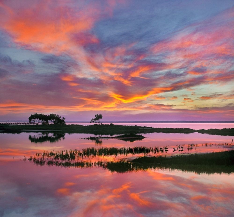 Picture of PADRE ISLAND NATIONAL SEASHORE-TEXAS-USA