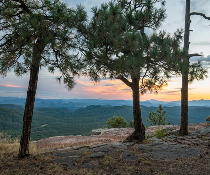 Picture of MAZATZAL WILDERNESS-COCONINO NATIONAL FOREST-ARIZONA