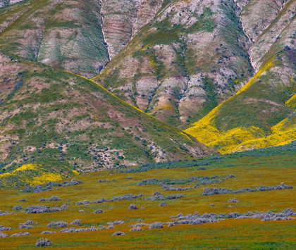 Picture of TEMBLOR MOUNTAINS-CORRIZO NATIONAL MONUMENT-CALIFORNIA-USA