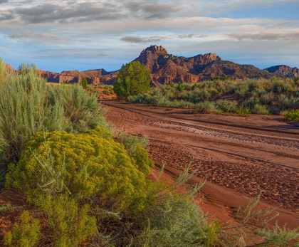 Picture of VERMILLION CLIFFS NATIONAL MONUMENT-ARIZONA-USA