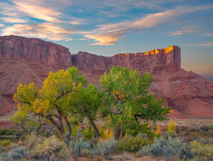 Picture of SANDSTONE CLIFFS AT PORCUPINE CANYON-UTAH