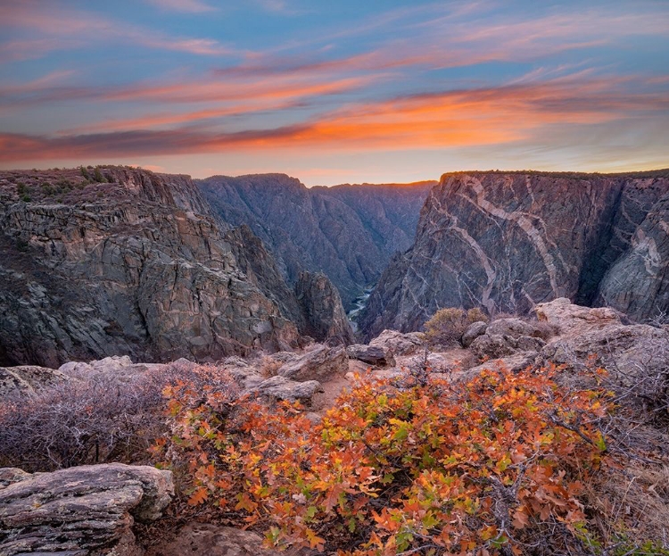 Picture of BLACK CANYON OF THE GUNNISON NATIONAL PARK-COLORADO