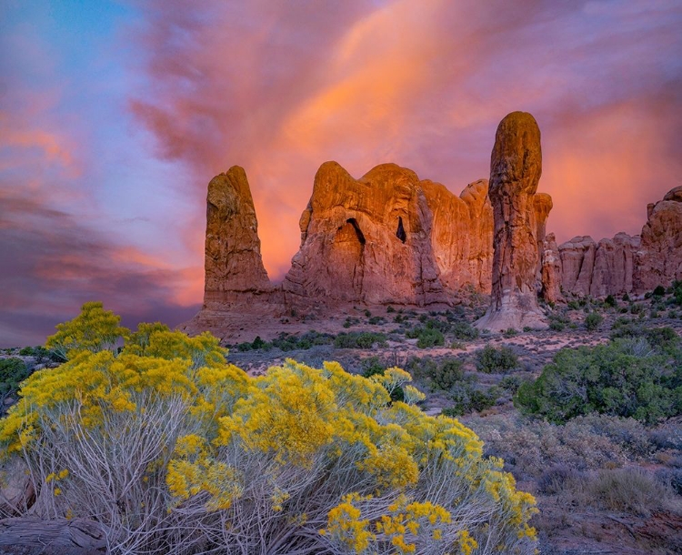 Picture of PARADE OF THE ELEPHANTS SANDSTONE FORMATION-ARCHES NATIONAL PARK-UTAH