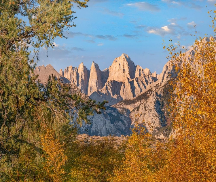 Picture of MOUNT WHITNEY-SEQUOIA NATIONAL PARK-CALIFORNIA-USA