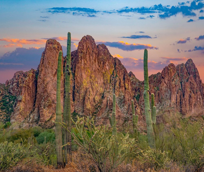 Picture of USURY MOUNTAINS FROM TORTILLA FLAT-ARIZONA-USA